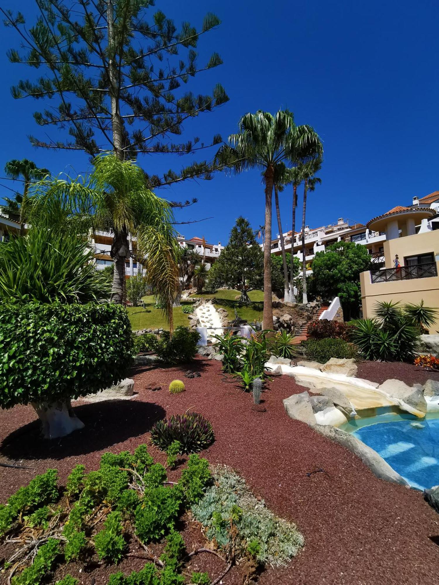 Strelitzia Apartment - Ocean View & Heated Pool San Miguel de Abona Zewnętrze zdjęcie
